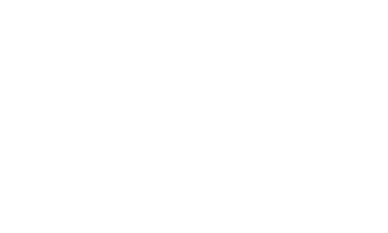 HAIDIAN·AI logo